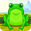 Frog Match Master