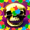 Skull Picture Scramble Challenge