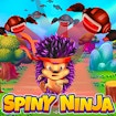 Spiny Ninja